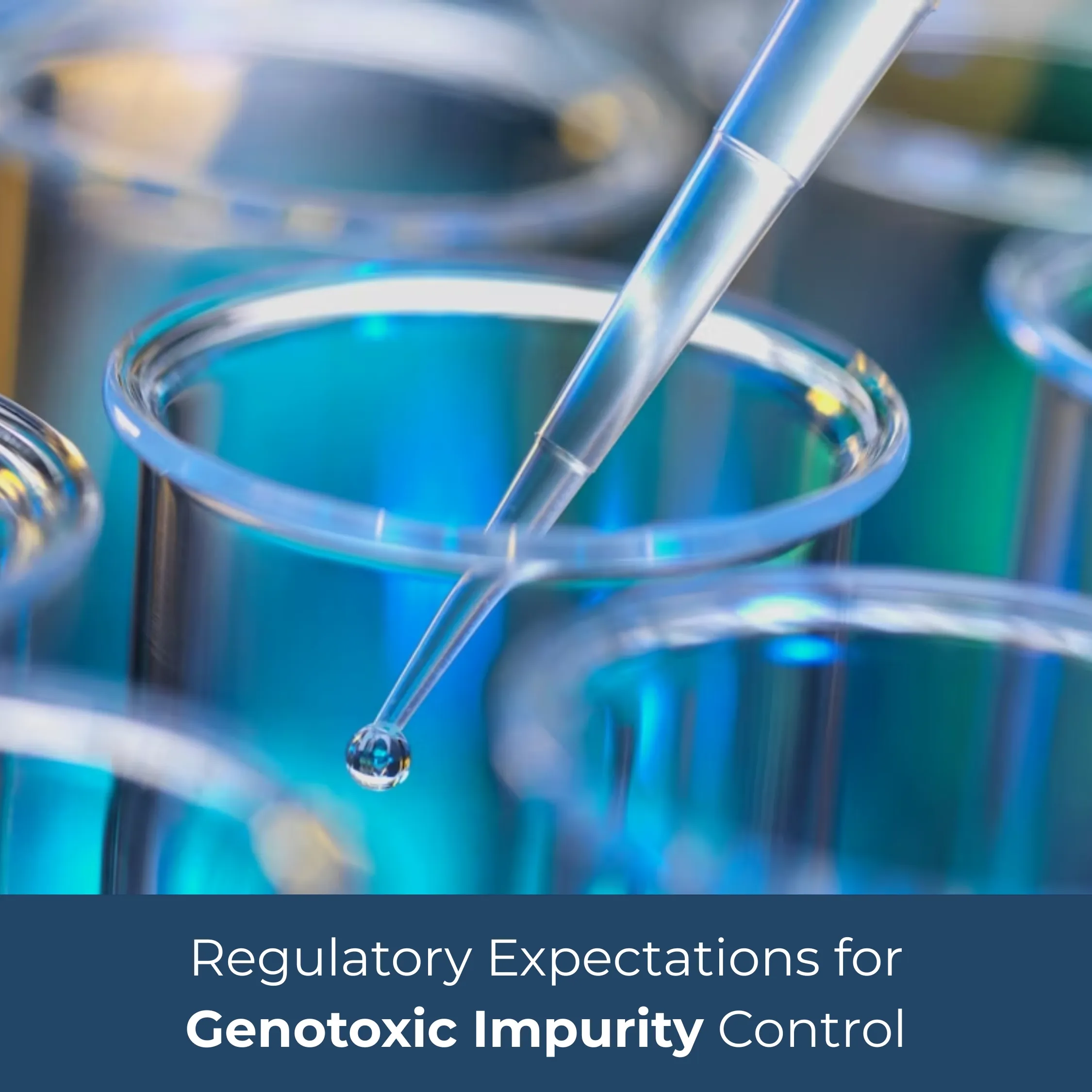 Regulatory Expectations for Genotoxic Impurity Control